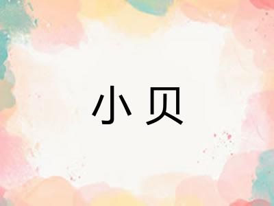 小贝 小贝