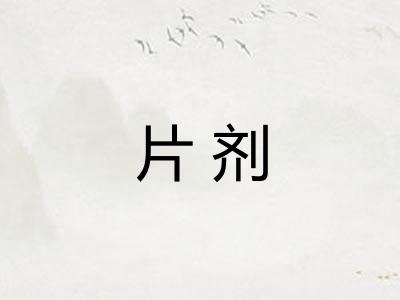 片剂 片剂