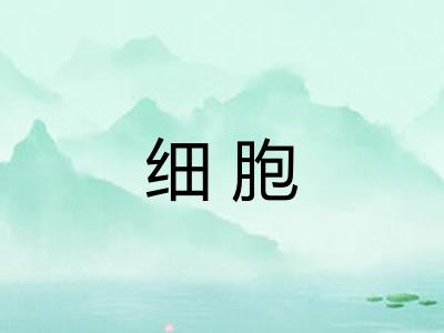 细胞 细胞