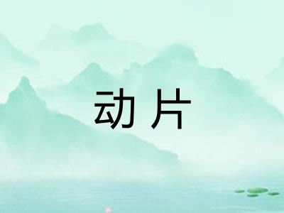 动片 动片