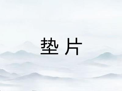 垫片 垫片