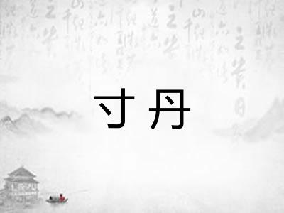 寸丹