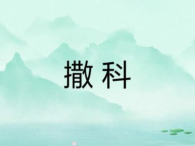 撒科 撒科