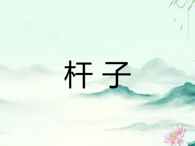 杆子 杆子