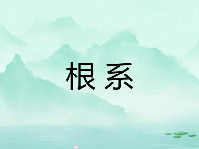 根系 根系