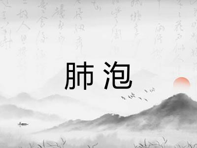 肺泡 肺泡