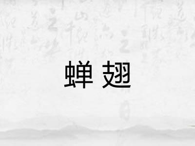 蝉翅 蝉翅