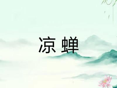 凉蝉 凉蝉