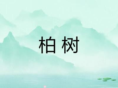 柏树 柏树