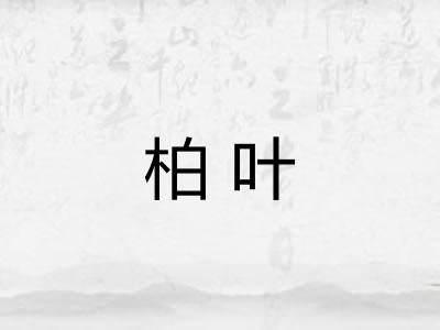 柏叶 柏叶