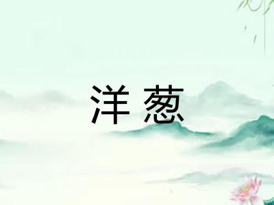 洋葱 洋葱