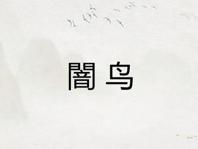 闇鸟 闇鸟
