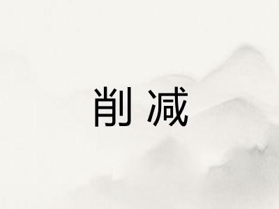削减 削减