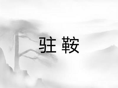 驻鞍 驻鞍