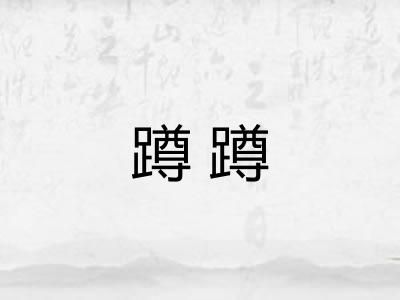 蹲蹲 蹲蹲