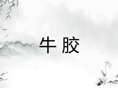 牛胶 牛胶