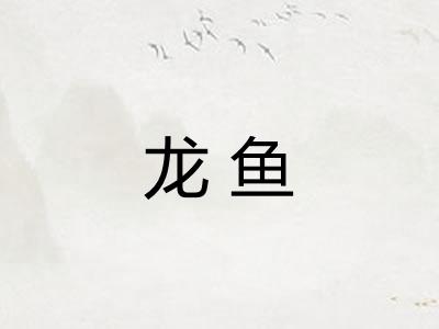 龙鱼 龙鱼