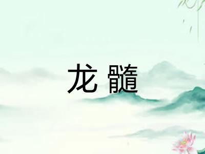 龙髓 龙髓