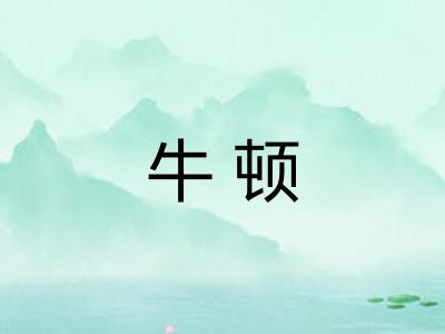 牛顿 牛顿