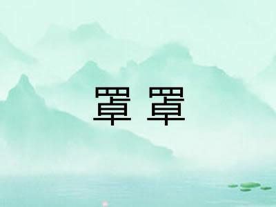 罩罩 罩罩