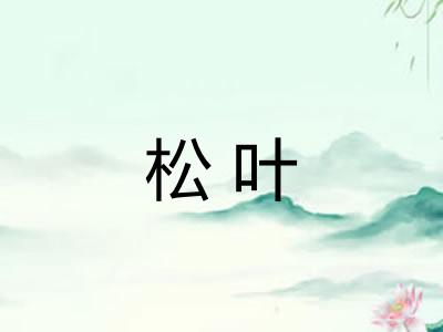 松叶 松叶