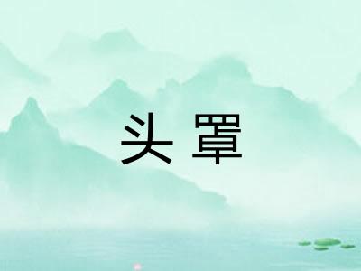 头罩 头罩