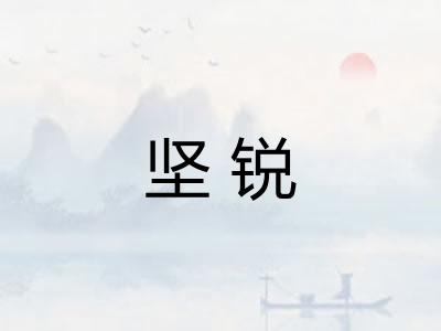 坚锐 坚锐