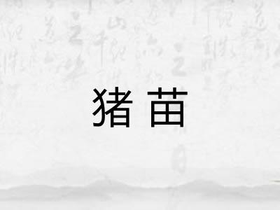 猪苗 猪苗