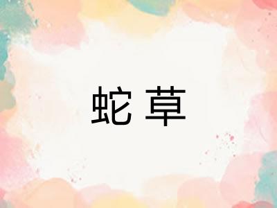 蛇草 蛇草