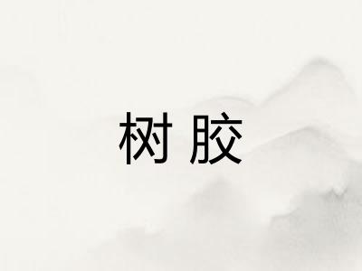树胶 树胶