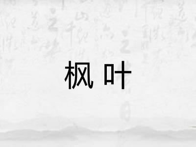 枫叶 枫叶