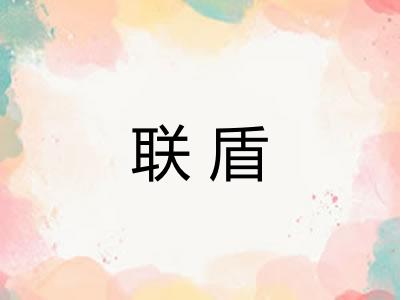 联盾 联盾