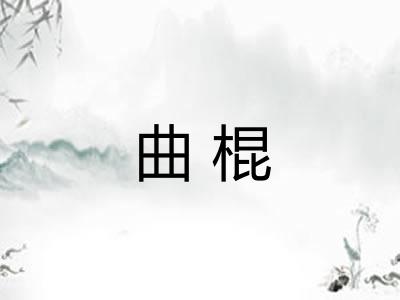 曲棍 曲棍