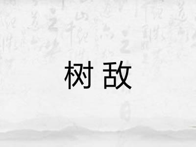 树敌 树敌