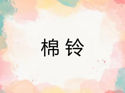 棉铃 棉铃
