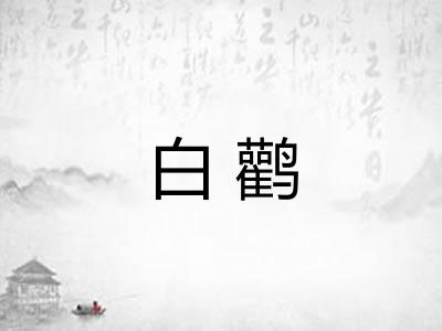 白鹳 白鹳