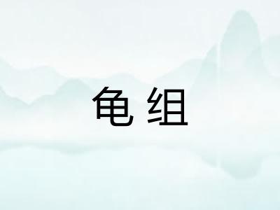 龟组 龟组