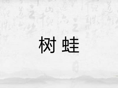 树蛙 树蛙