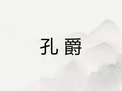 孔爵 孔爵