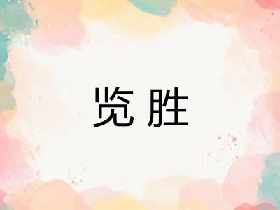 览胜 览胜