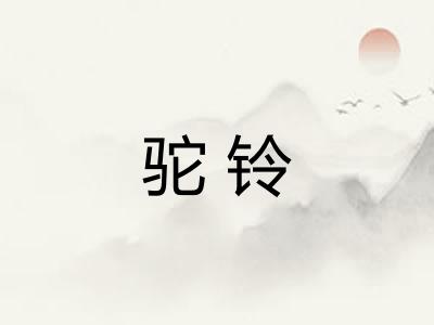 驼铃 驼铃