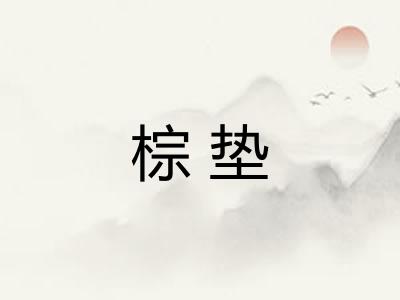 棕垫 棕垫