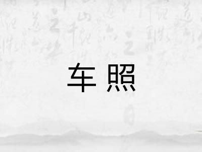 车照 车照