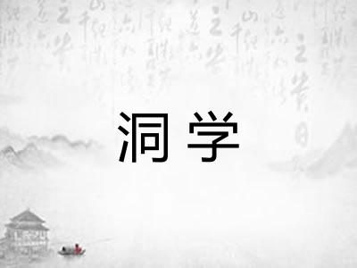 洞学 洞学