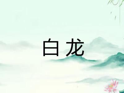 白龙 白龙