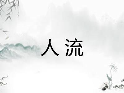 人流 人流