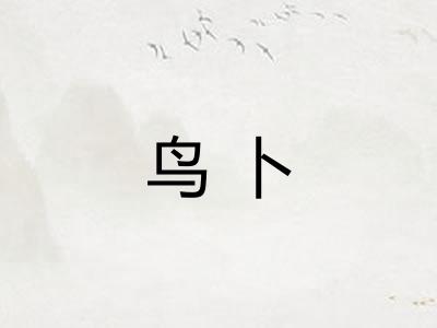 鸟卜 鸟卜
