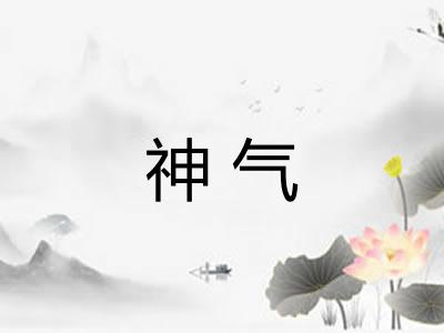 神气 神气