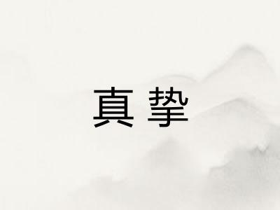真挚 真挚