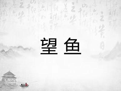望鱼 望鱼